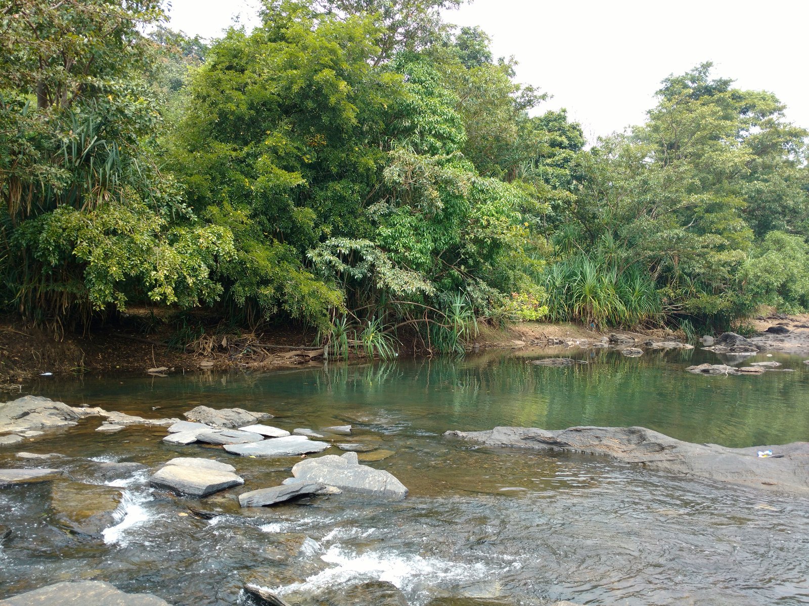 Moulangi Eco Park and forest-lined Kali River near Dandeli